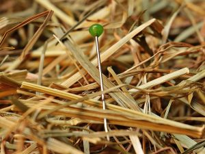 Green-headed pin standing upright in a bed of straw