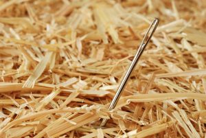 a needle found in haystack