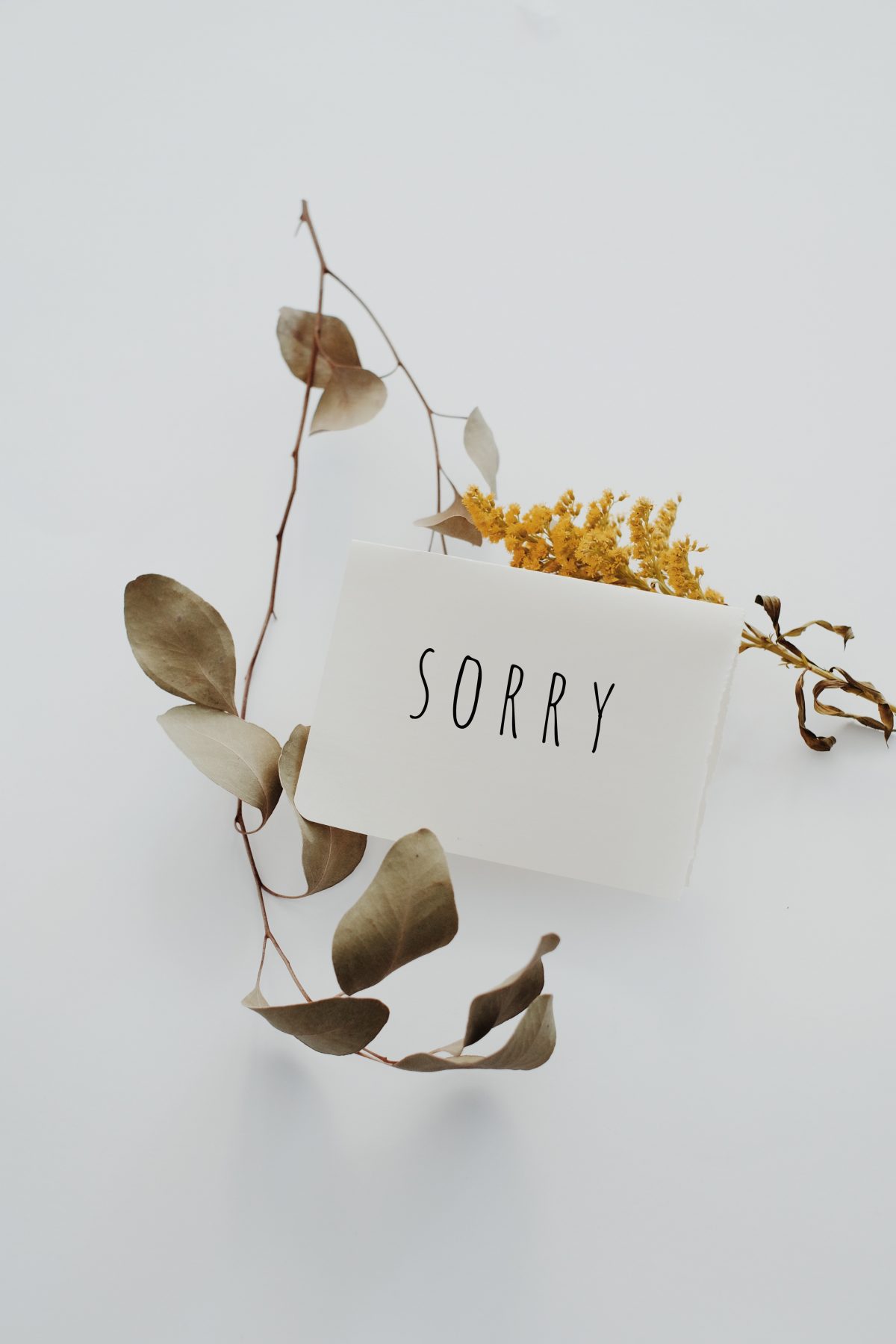 How (and Why) Your Business Should Apologize For Its Mistakes