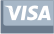 visa footer logo