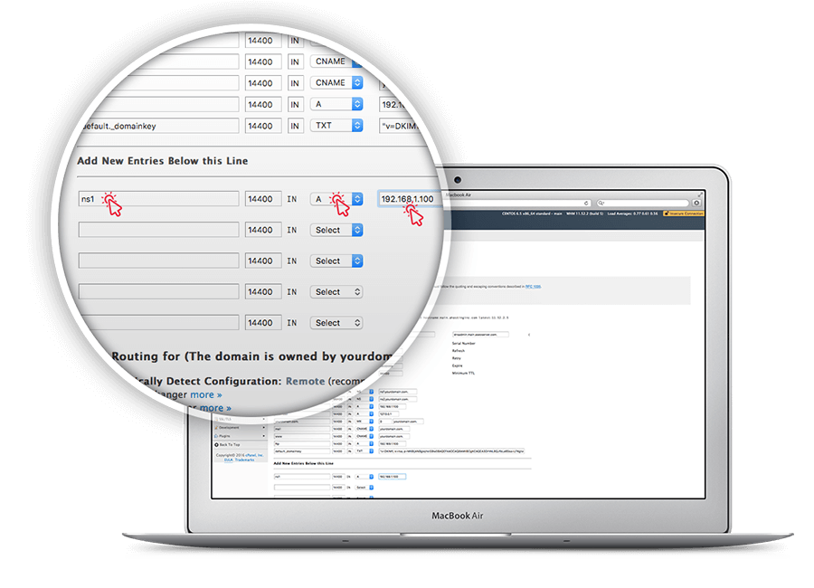 Create your own private nameserver, select A from dropdown for ns1