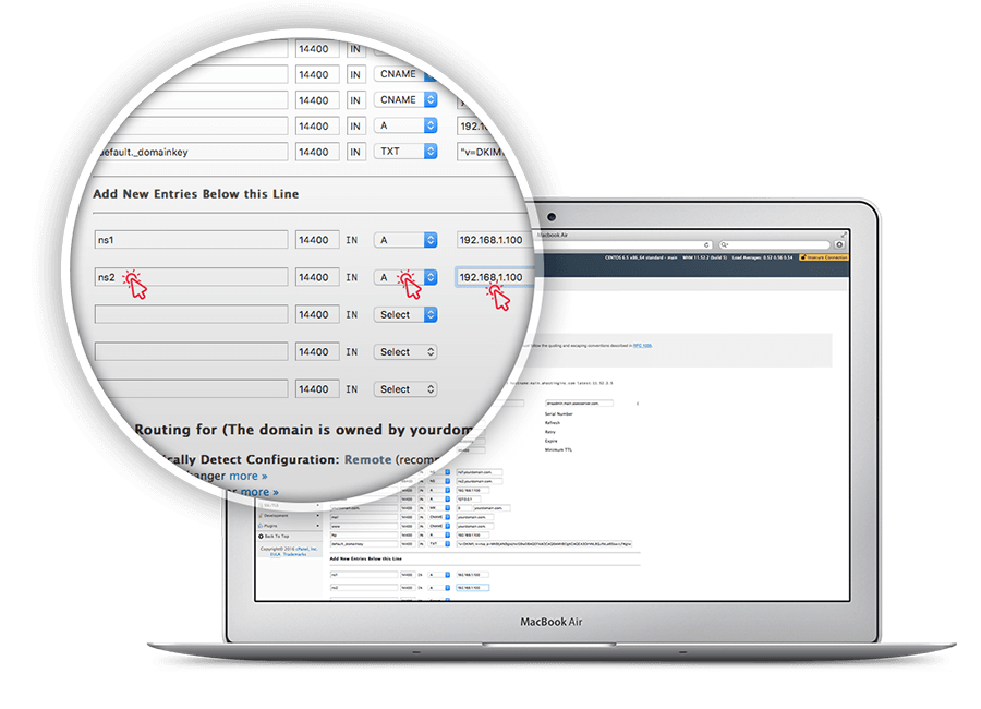 Create your own private nameserver, select A from dropdown for ns2